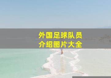 外国足球队员介绍图片大全