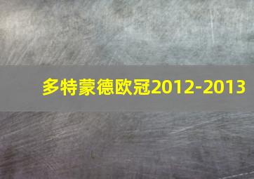 多特蒙德欧冠2012-2013