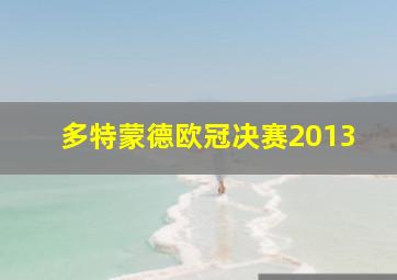 多特蒙德欧冠决赛2013