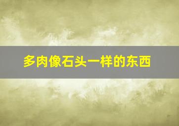 多肉像石头一样的东西