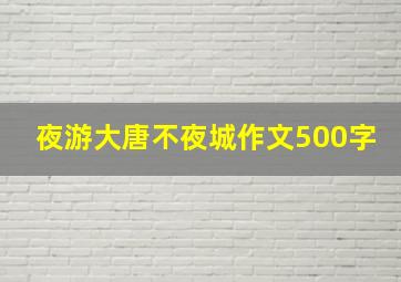 夜游大唐不夜城作文500字