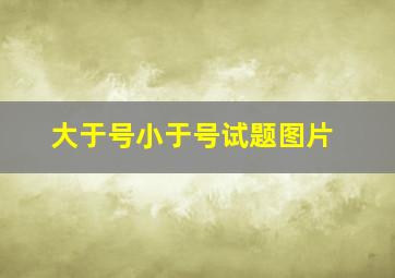 大于号小于号试题图片