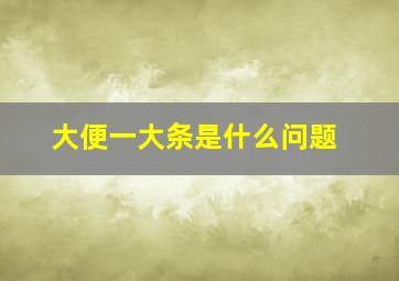 大便一大条是什么问题