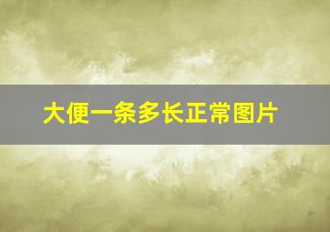 大便一条多长正常图片