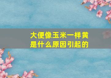 大便像玉米一样黄是什么原因引起的