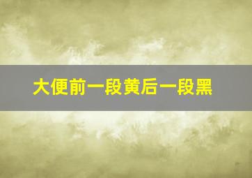 大便前一段黄后一段黑