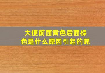 大便前面黄色后面棕色是什么原因引起的呢