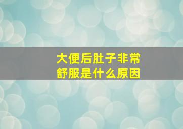 大便后肚子非常舒服是什么原因