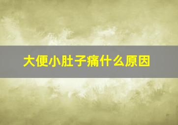 大便小肚子痛什么原因