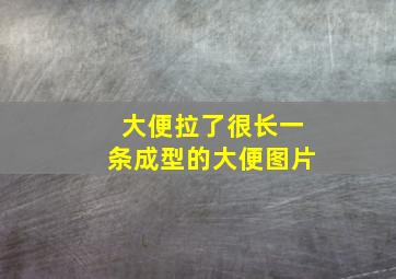 大便拉了很长一条成型的大便图片