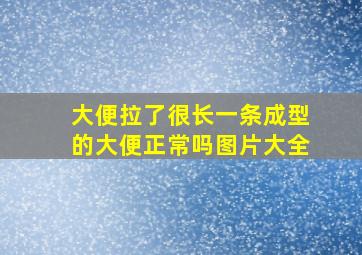 大便拉了很长一条成型的大便正常吗图片大全