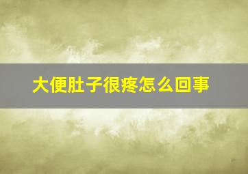 大便肚子很疼怎么回事