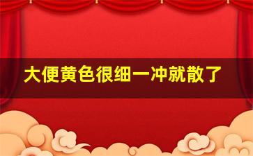 大便黄色很细一冲就散了