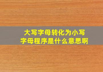 大写字母转化为小写字母程序是什么意思啊