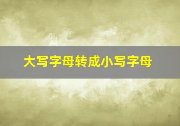 大写字母转成小写字母