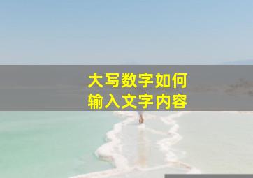 大写数字如何输入文字内容