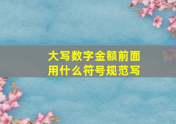 大写数字金额前面用什么符号规范写