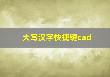 大写汉字快捷键cad