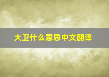 大卫什么意思中文翻译