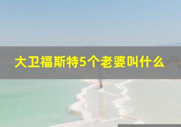 大卫福斯特5个老婆叫什么