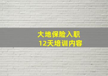 大地保险入职12天培训内容