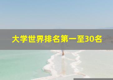 大学世界排名第一至30名