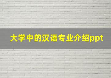 大学中的汉语专业介绍ppt