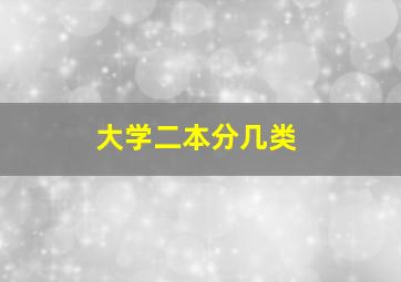 大学二本分几类