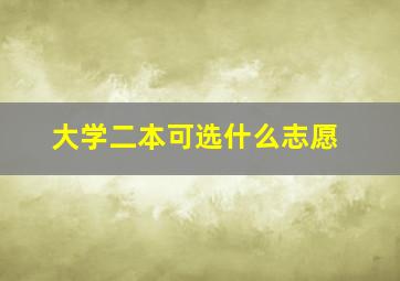 大学二本可选什么志愿