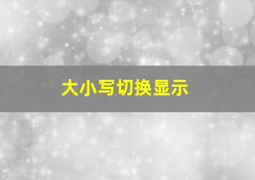 大小写切换显示