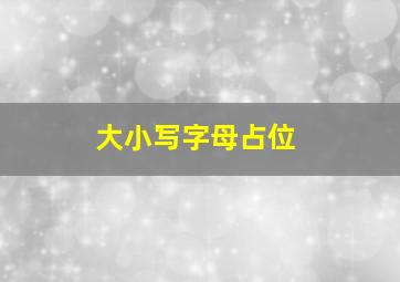 大小写字母占位