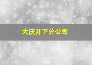 大庆井下分公司