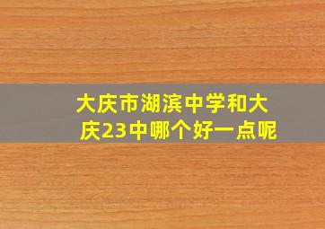 大庆市湖滨中学和大庆23中哪个好一点呢