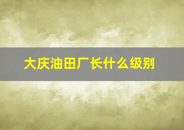 大庆油田厂长什么级别