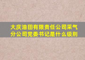 大庆油田有限责任公司采气分公司党委书记是什么级别