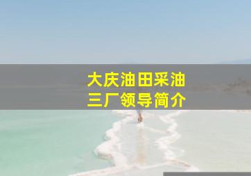 大庆油田采油三厂领导简介