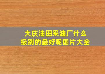 大庆油田采油厂什么级别的最好呢图片大全