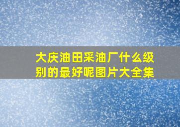 大庆油田采油厂什么级别的最好呢图片大全集