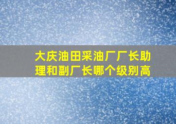 大庆油田采油厂厂长助理和副厂长哪个级别高