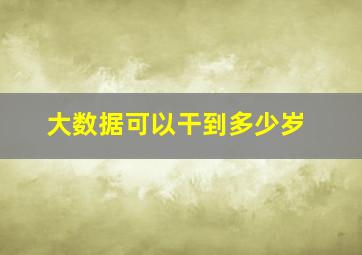 大数据可以干到多少岁