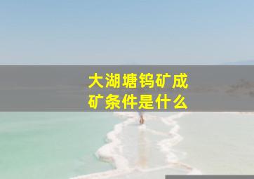 大湖塘钨矿成矿条件是什么