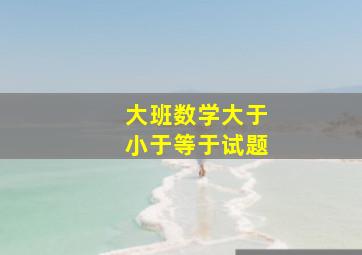 大班数学大于小于等于试题