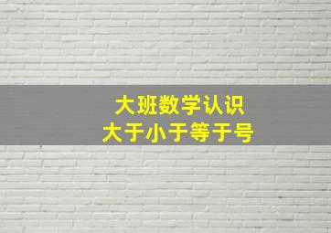 大班数学认识大于小于等于号