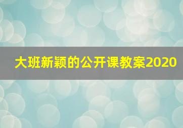 大班新颖的公开课教案2020