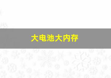 大电池大内存