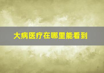 大病医疗在哪里能看到