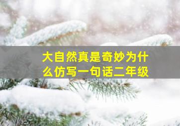 大自然真是奇妙为什么仿写一句话二年级