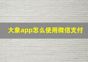 大象app怎么使用微信支付