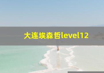 大连埃森哲level12