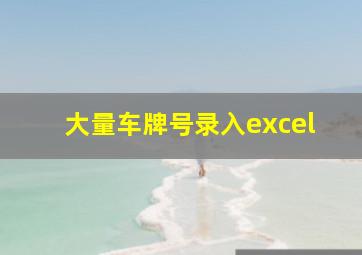 大量车牌号录入excel